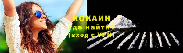 ECSTASY Корсаков