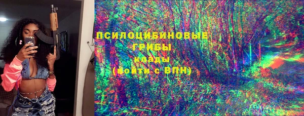прущий лед Нея