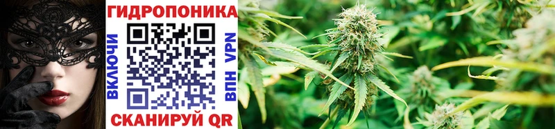 Шишки марихуана OG Kush дарнет шоп Павловская